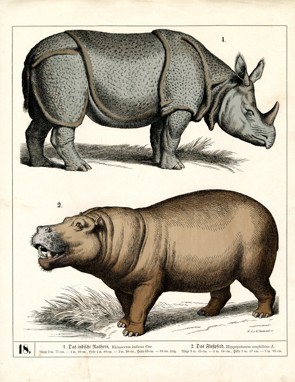  by Heinrich Leutemann