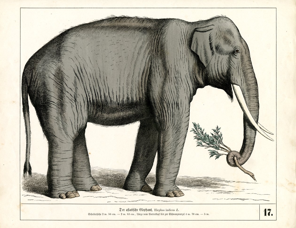 by Heinrich Leutemann