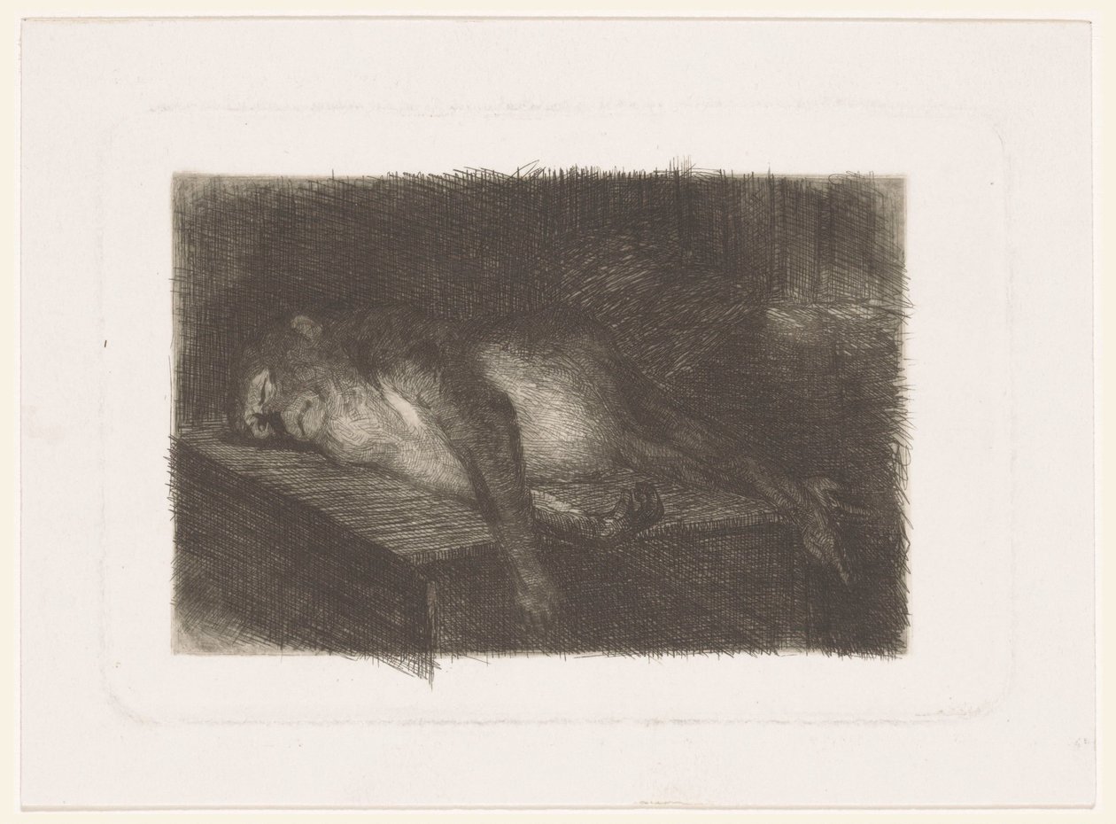 Yalan, uyuyan maymun by Heinrich M. Krabbé