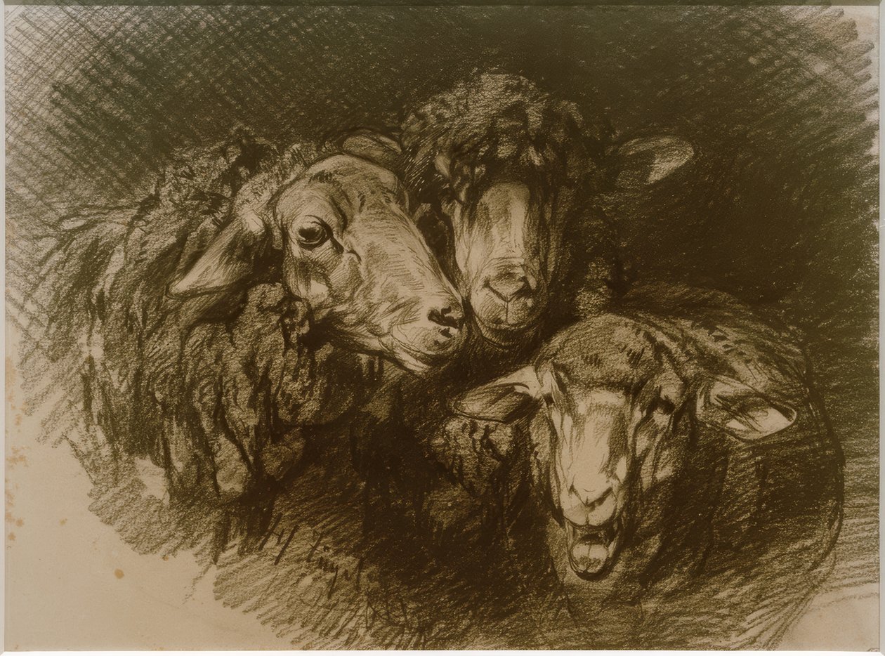 Koyun by Heinrich von Zügel