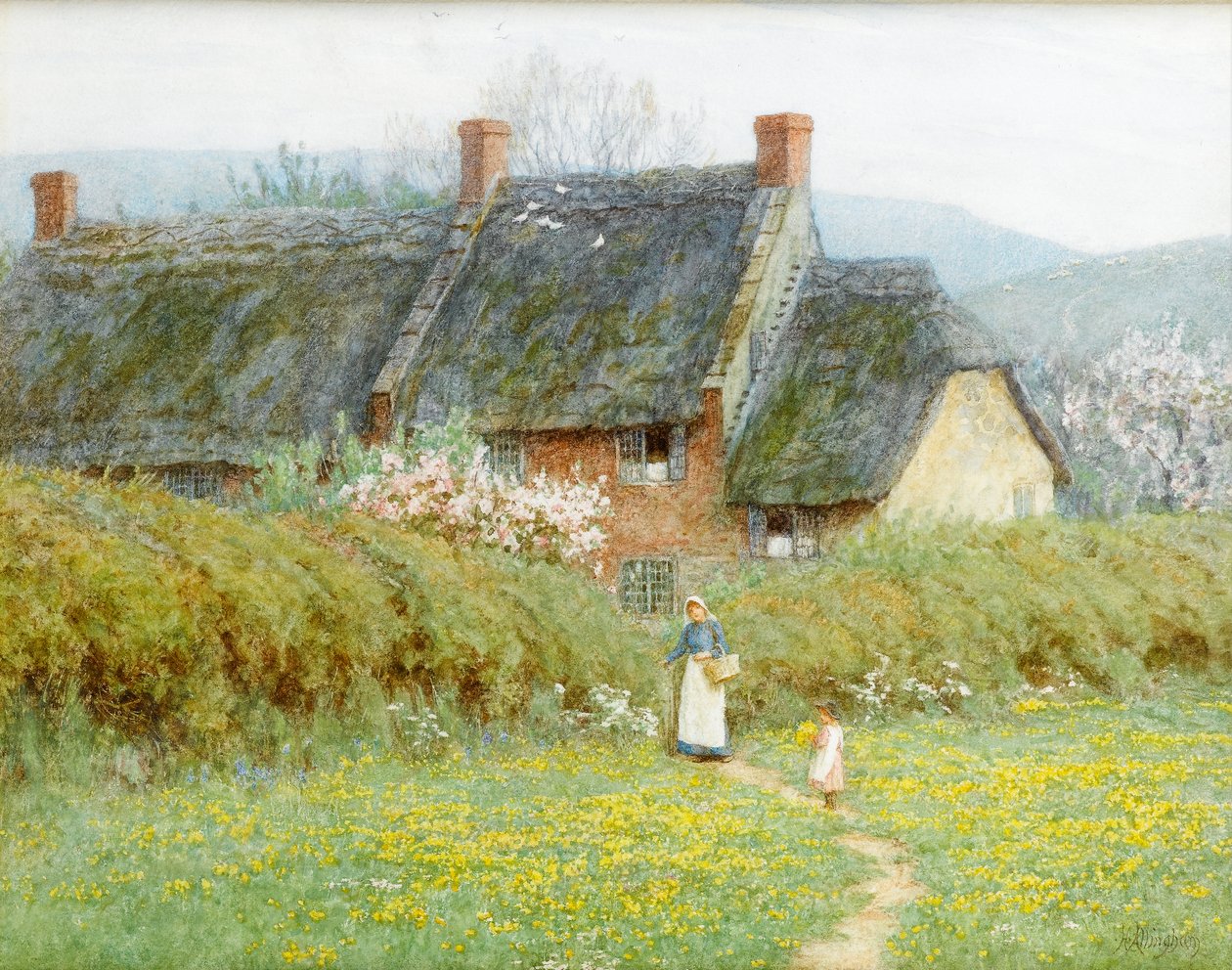 Düğünçiçekleri, Bridport Yakını, Dorset (kağıt üzerinde wc) by Helen Allingham