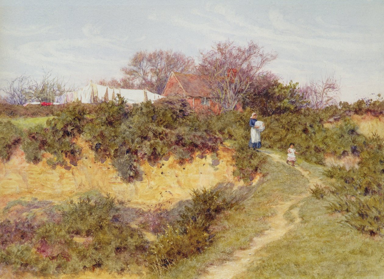 Sandhills, Witley