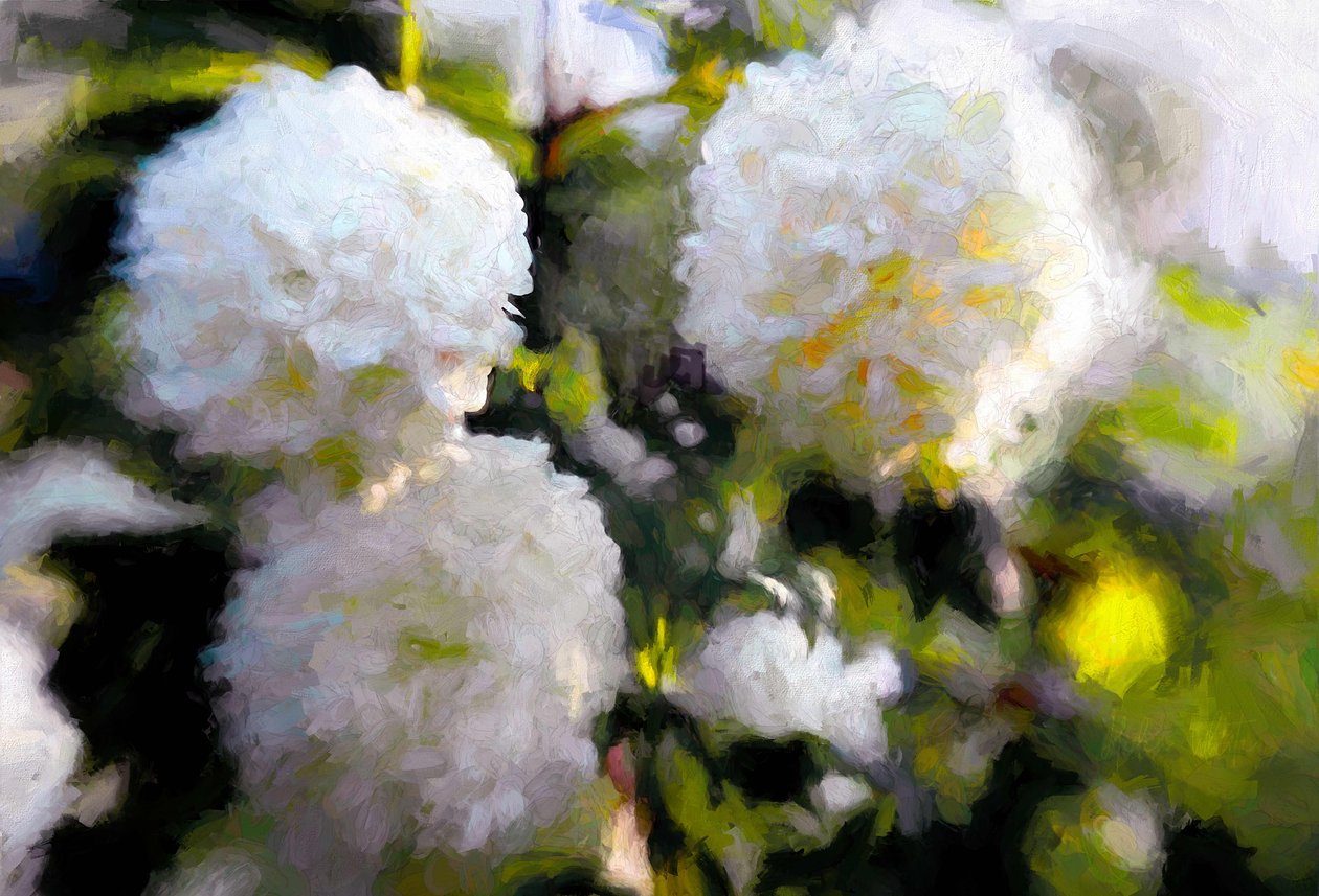 Büyük Havalı Çiçekler, 2018, by Helen White
