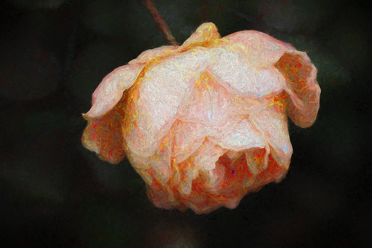 2018, by Helen White