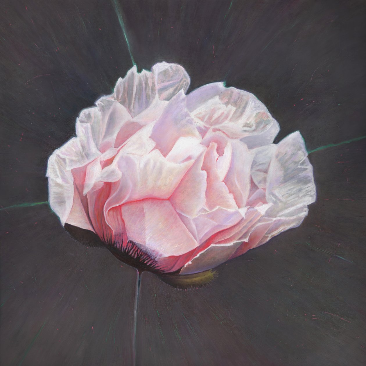 Ortaya Çıkış, 2015, by Helen White