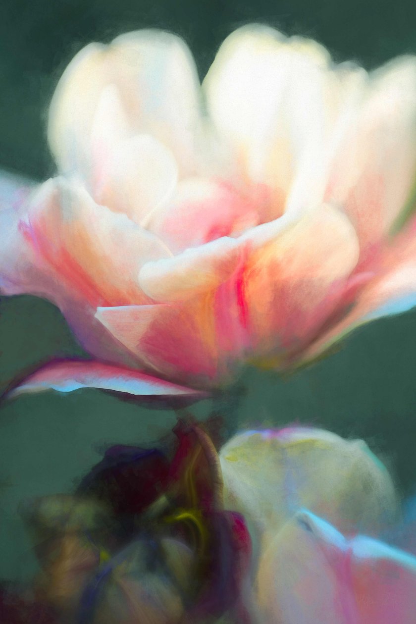 Ortaya Çıkış II, 2018, by Helen White