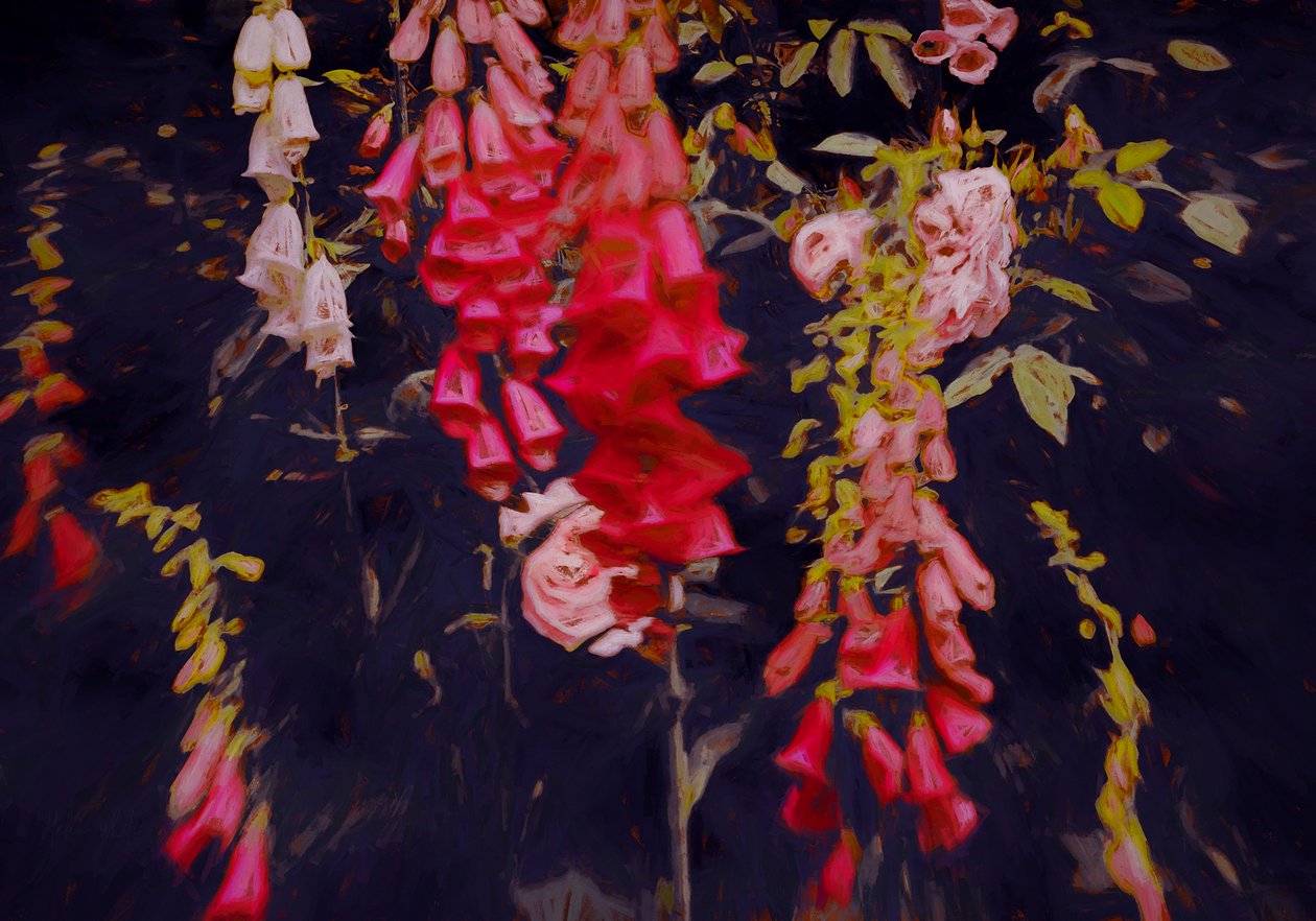 Karanlık Yerlerde Bile, 2018, by Helen White