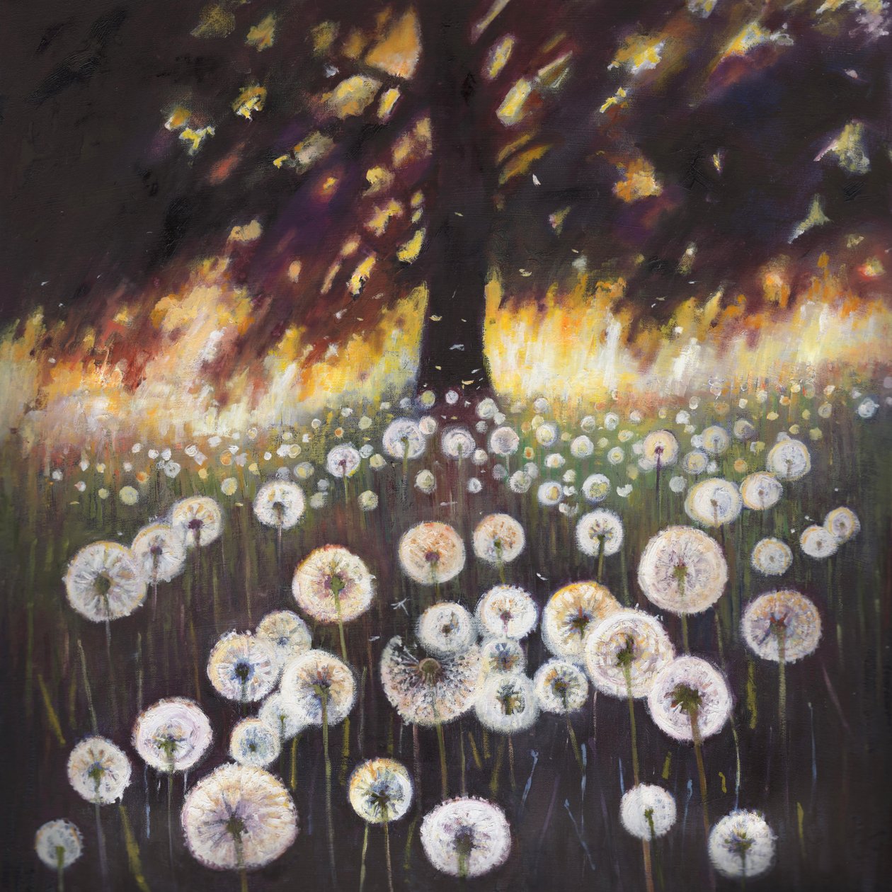 Rüyalar Alanı, 2015, by Helen White