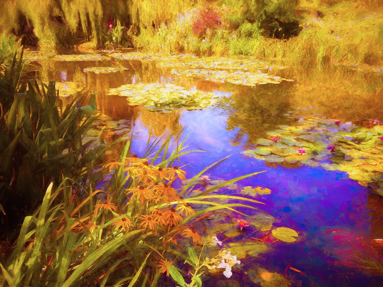 Giverny Nilüferler, 2019, by Helen White