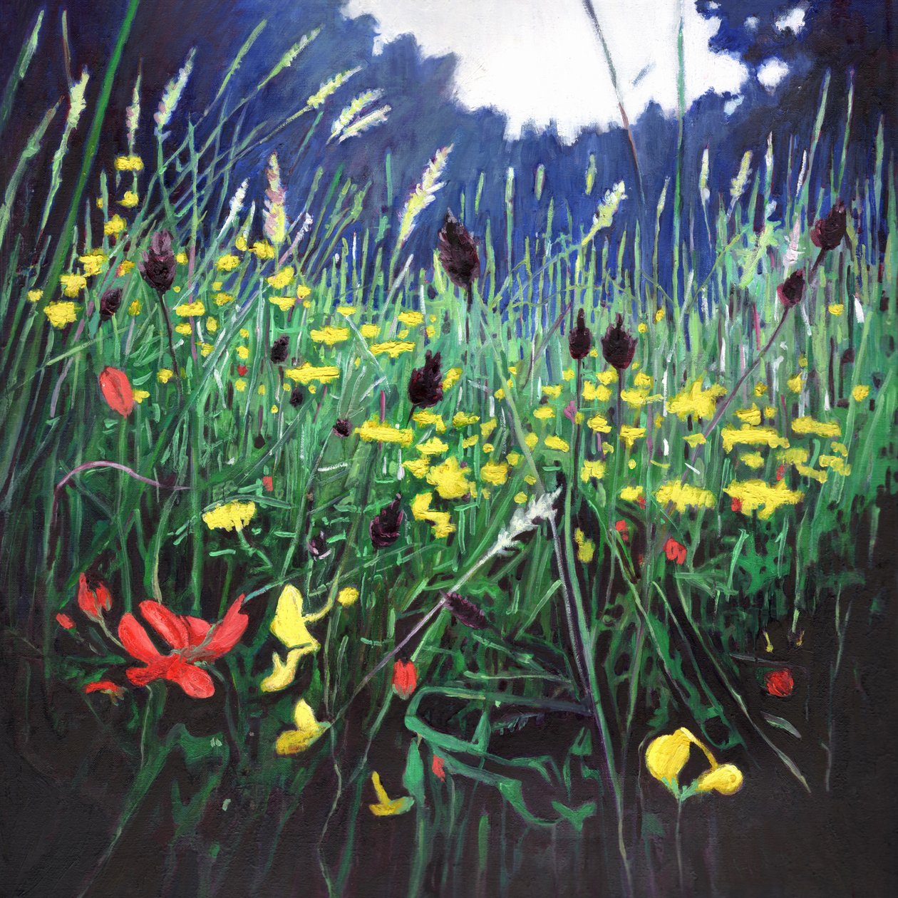Çayır zaferi, 2015, by Helen White