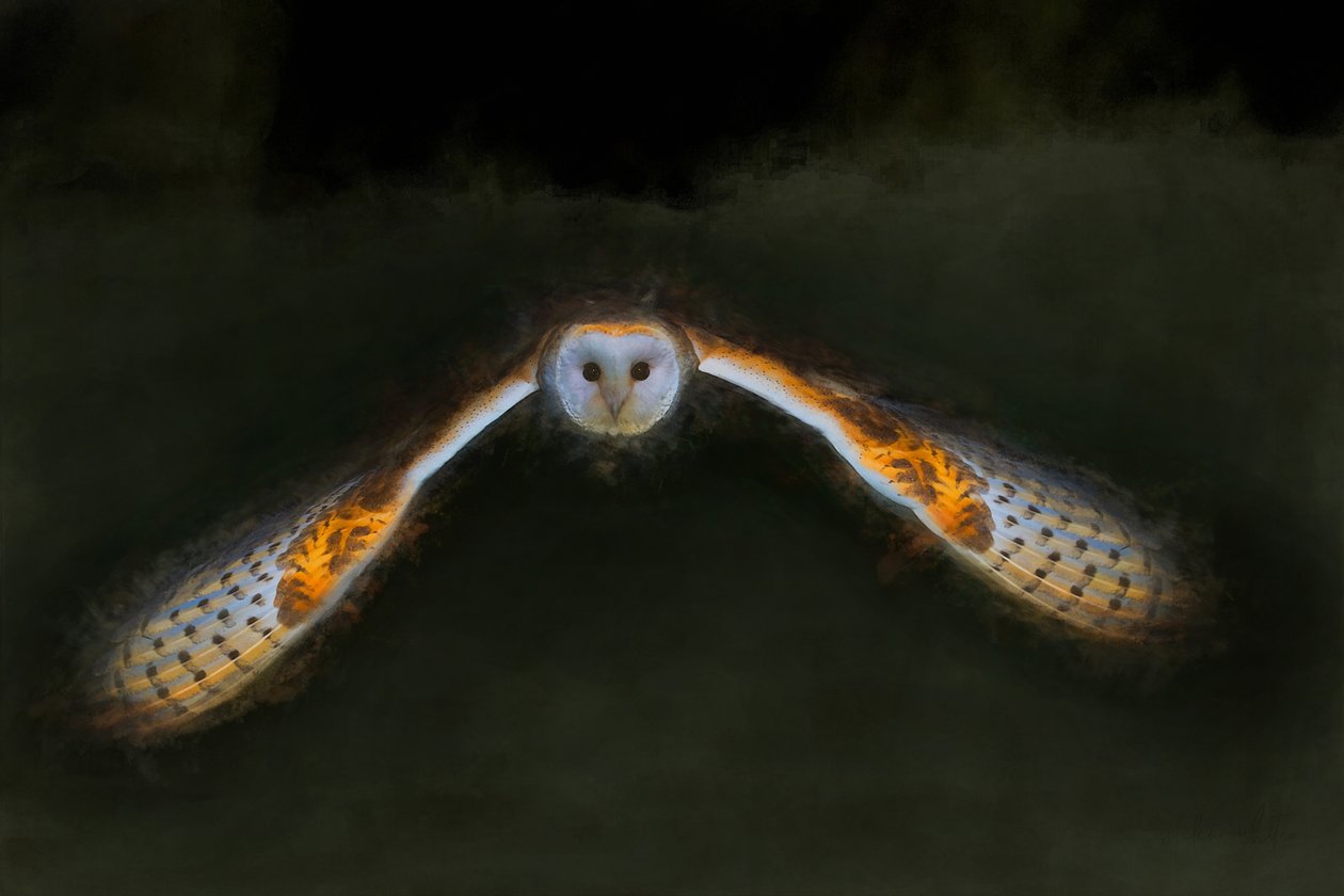 Gece Uçuşu, 2018, by Helen White