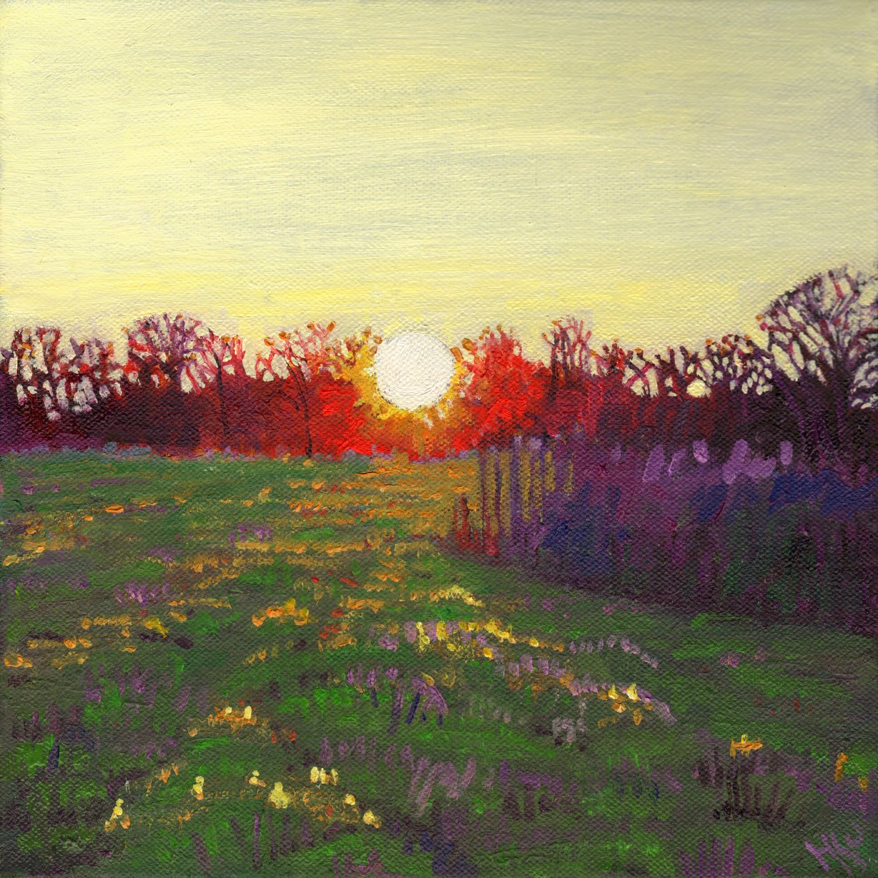 ışık yolu, 2013, by Helen White