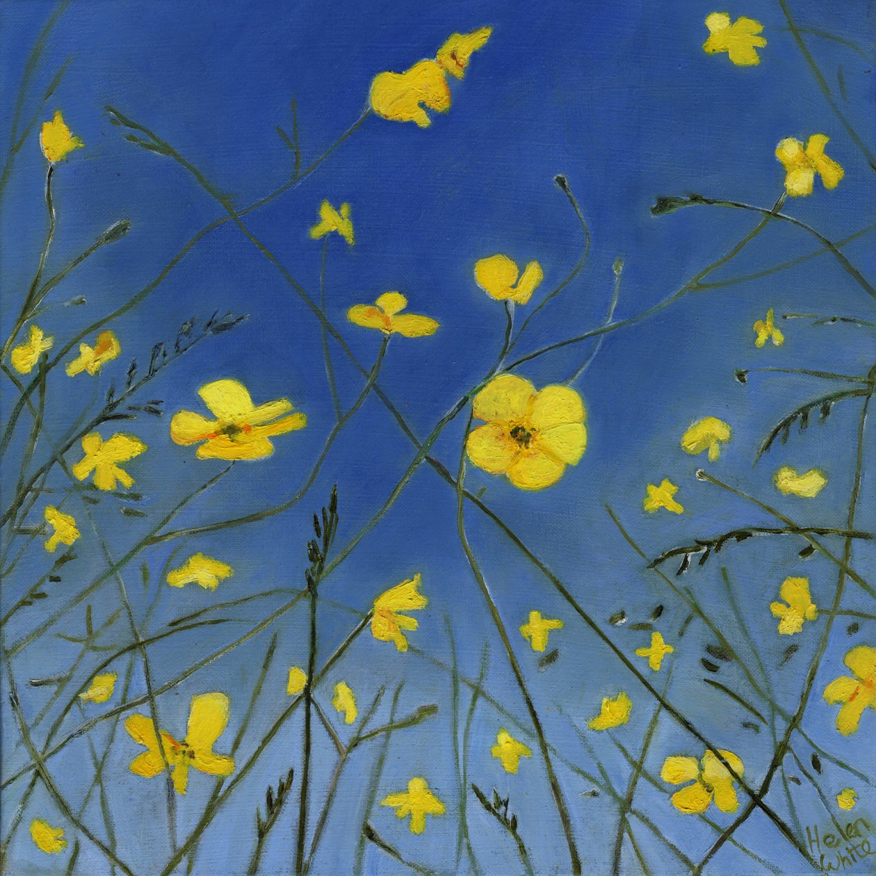 Yaz günleri ve tembel yollar, 2015, by Helen White