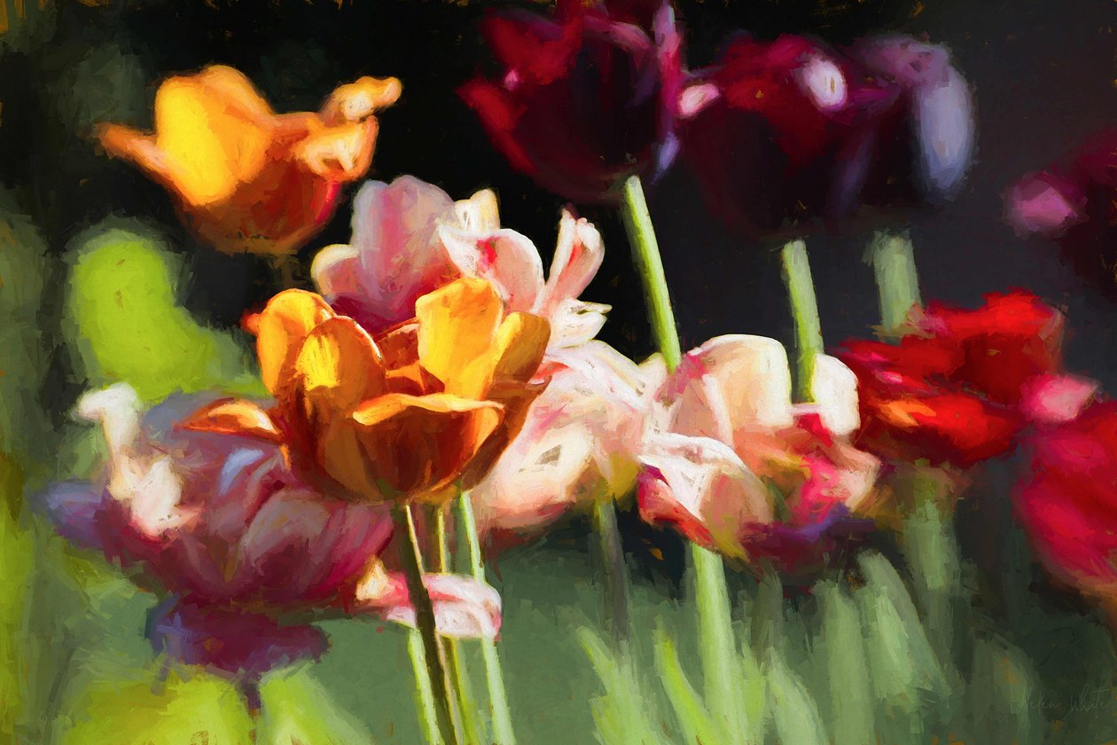 Lale Tarlası, 2018, by Helen White