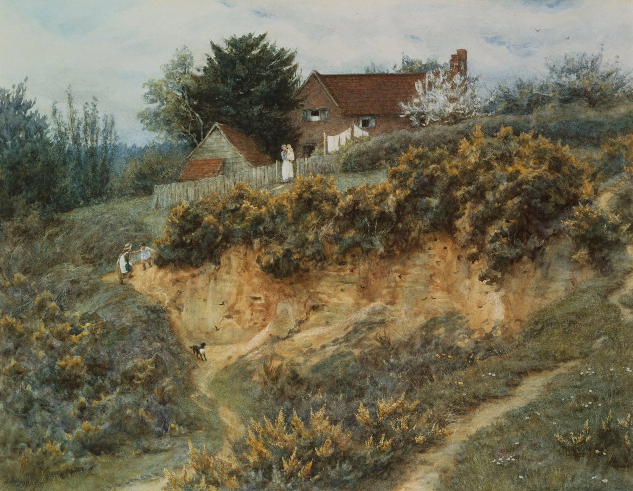 Sandhills, Witley