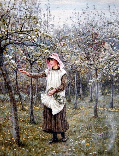 Blossom Time (kağıt üzerine sulu boya) by Helen Allingham