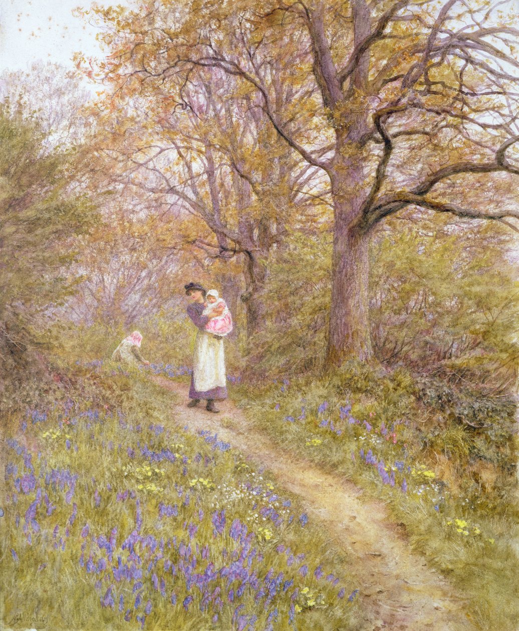 yaban mersini by Helen Allingham