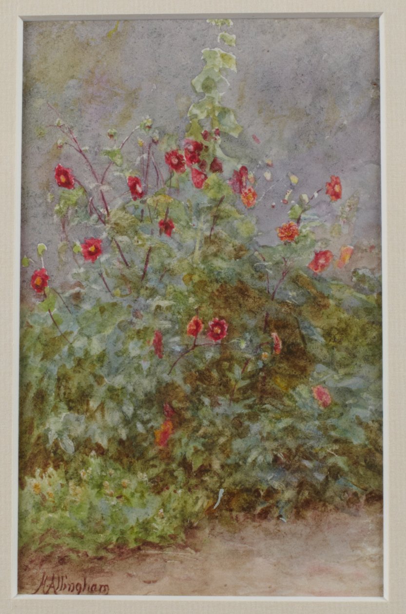 Çiçek Kenarlığı, Gülhatmi ve Dahlias by Helen Allingham
