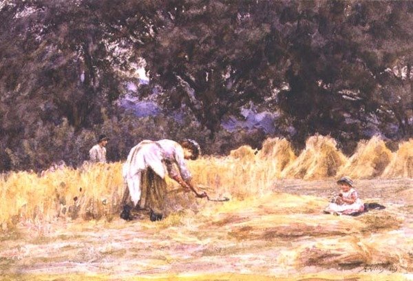hasat by Helen Allingham