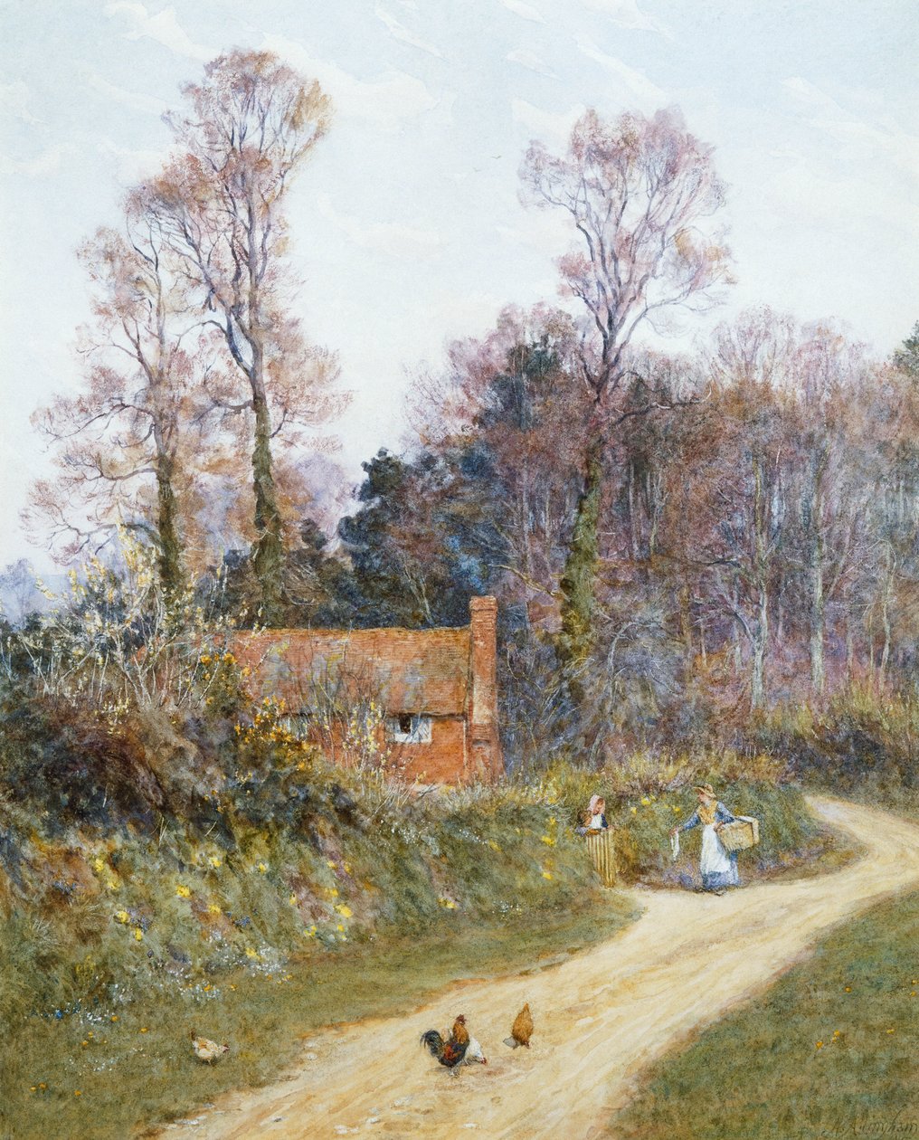 Witley Lane