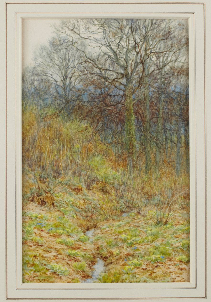 Çuha çiçeği Ağacımız, 1913 by Helen Allingham
