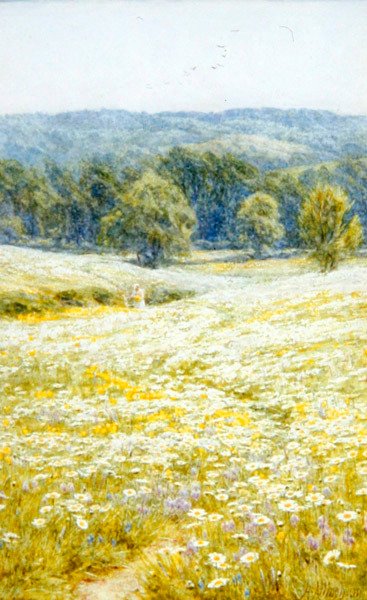 Oxeye Papatyalar, Westerham, Kent yakınlarında (kağıt üzerine suluboya) by Helen Allingham