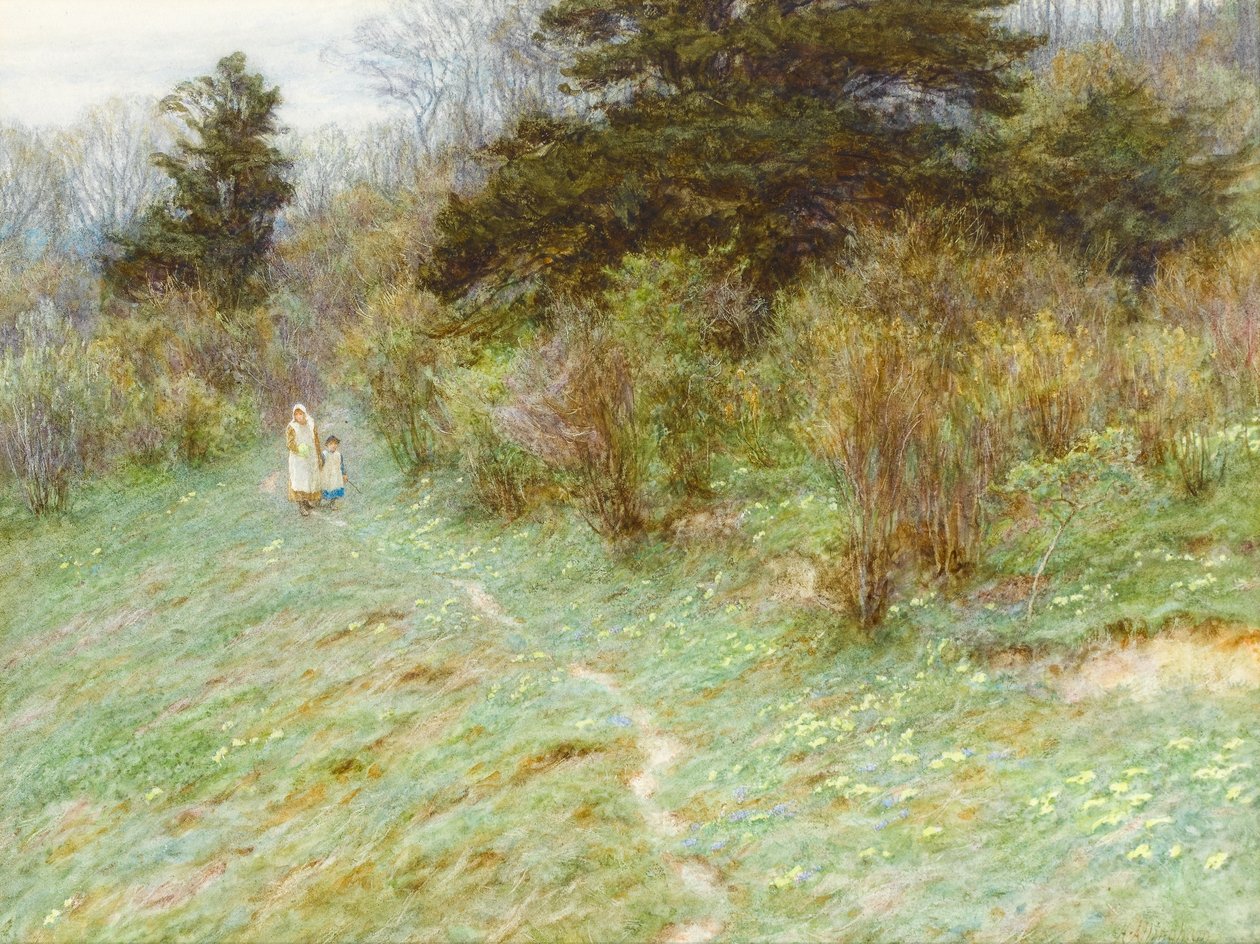 Surrey Heath üzerinde çuha çiçeği (kağıt üzerinde wc) by Helen Allingham