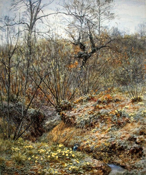 Bahar korusu, Witley, Surrey (kağıt üzerine suluboya) by Helen Allingham