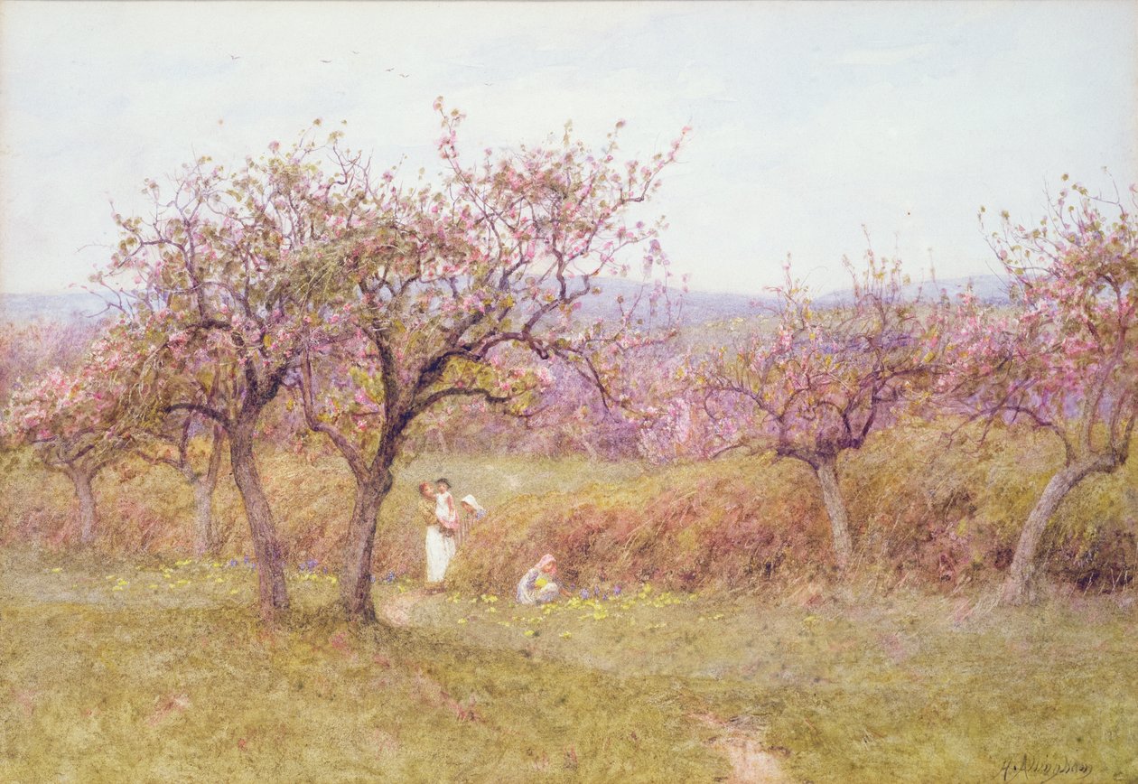 Dorset