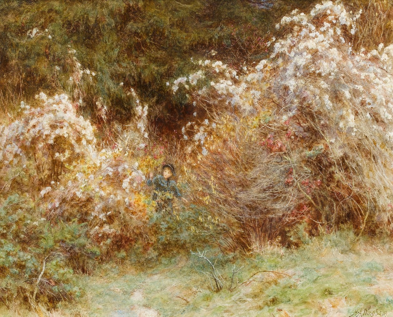 Travellers Joy: Bir Surrey Hedgerow (kağıt üzerinde wc) by Helen Allingham