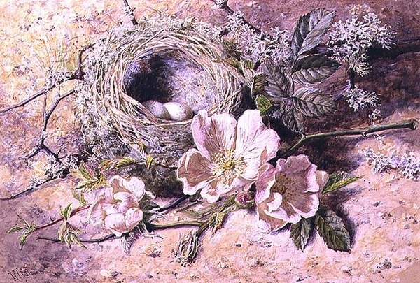 Çiçeği ve Kuş Yuvası (kağıt üzerine sulu boya) by Helen Cordelia Coleman Angell