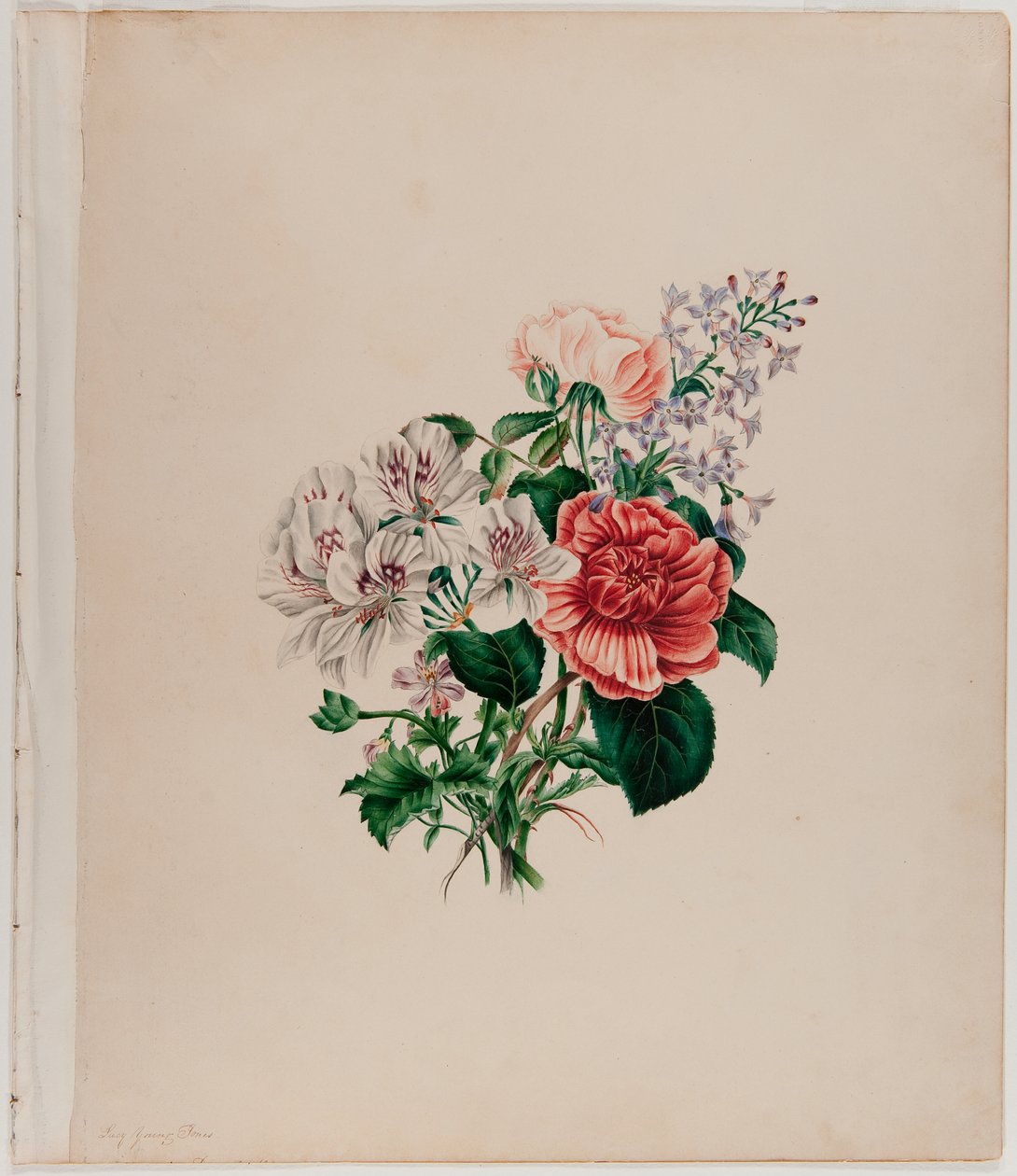 St. Leon Bouquet, c.1842 (kağıt üzerine suluboya) by Helen Lockie and family Jones