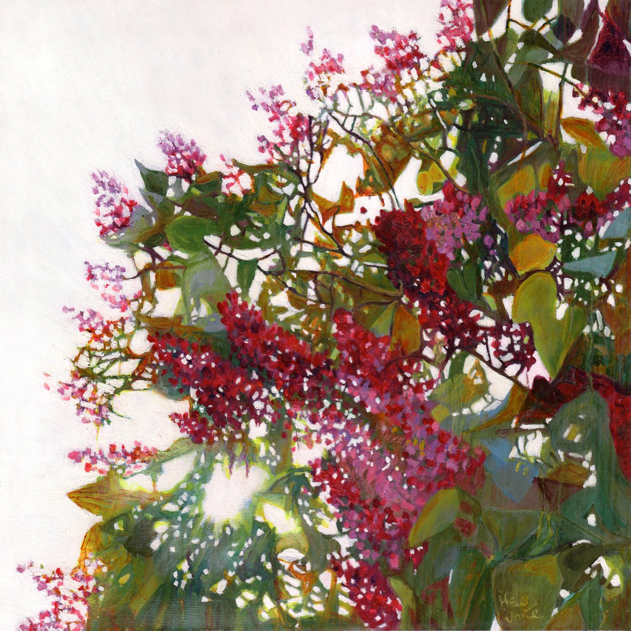 aglow, 2015 by Helen White