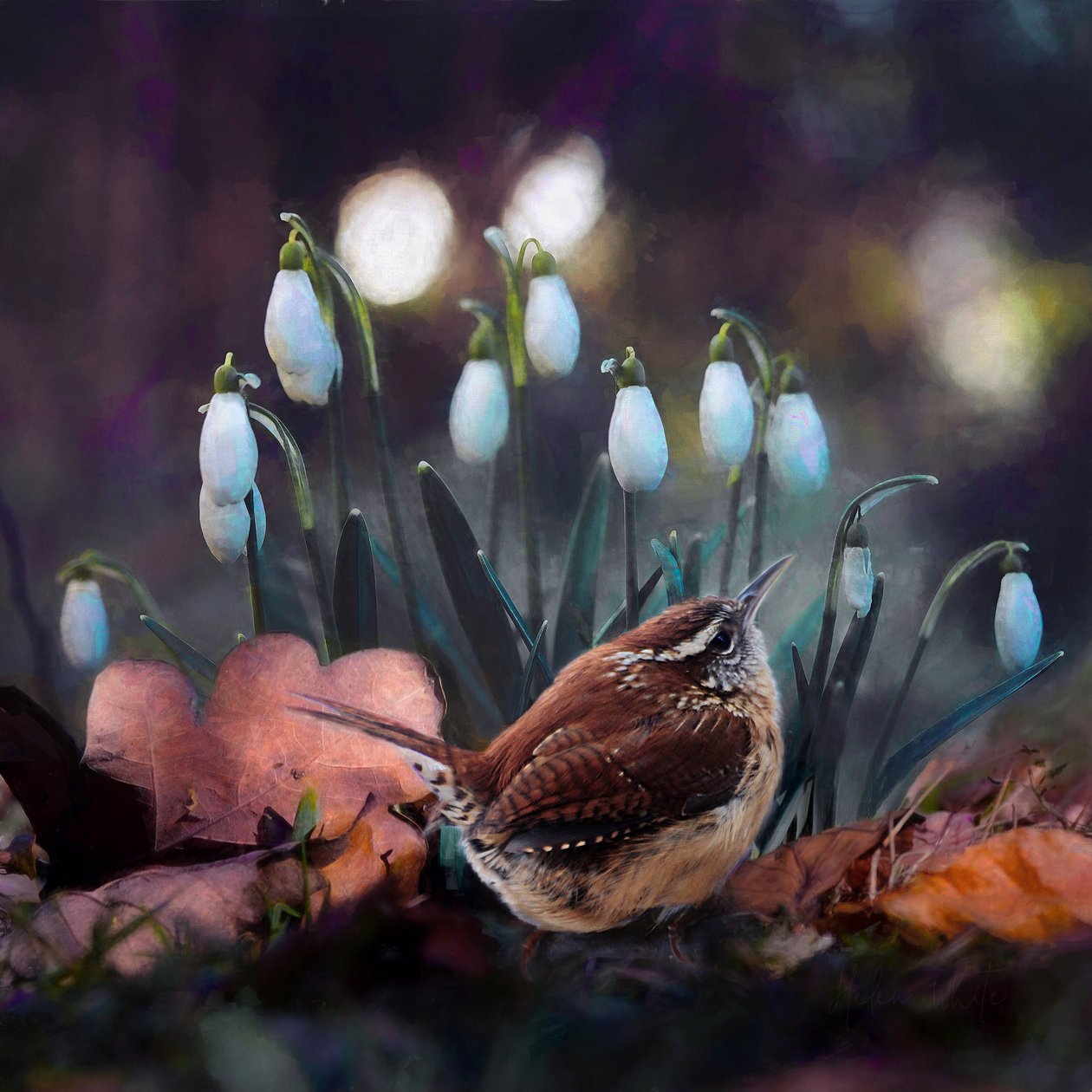 Büyük Ses, 2019 by Helen White