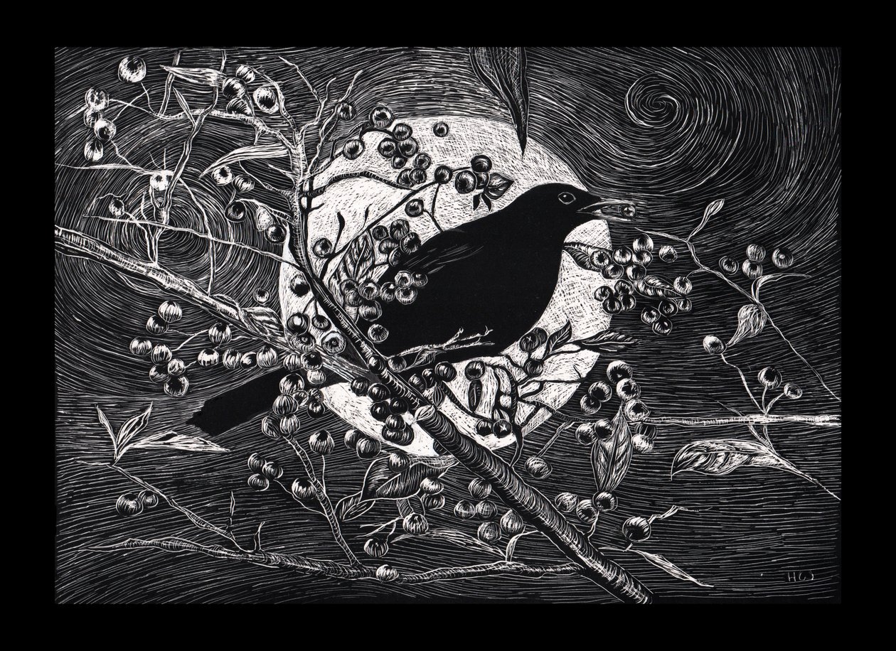 Karatavuk, 2023 by Helen White