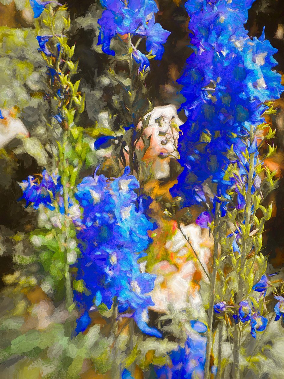 Mavi Delphiniums, 2019 by Helen White