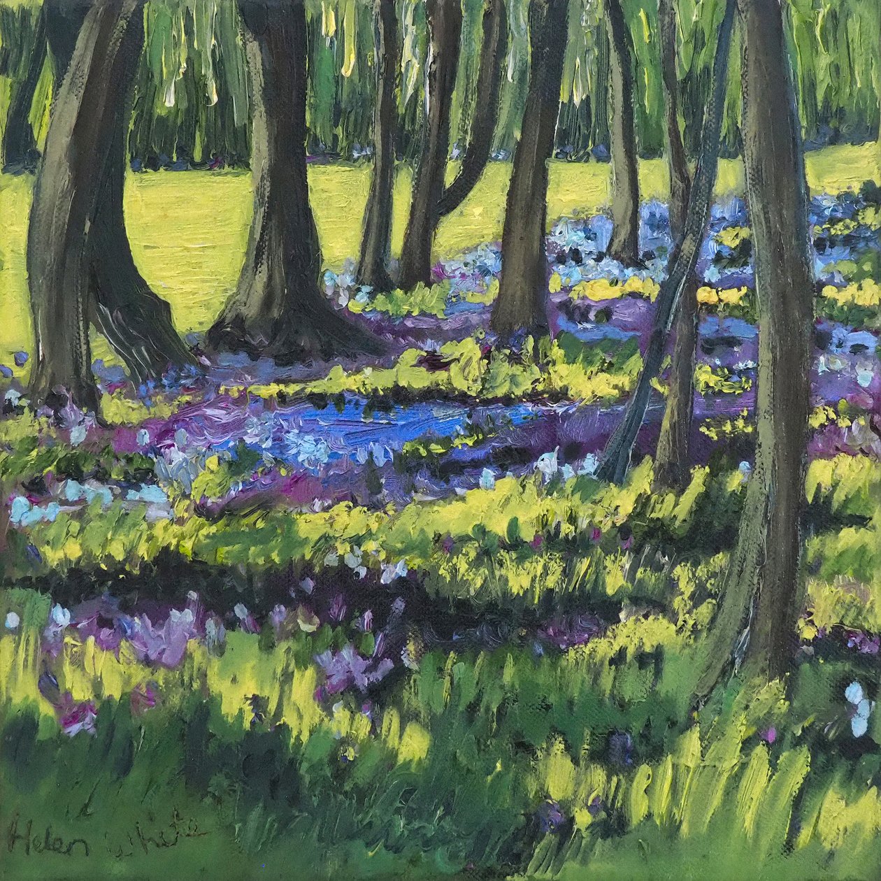 Bluebell Ahşap, 2008 by Helen White