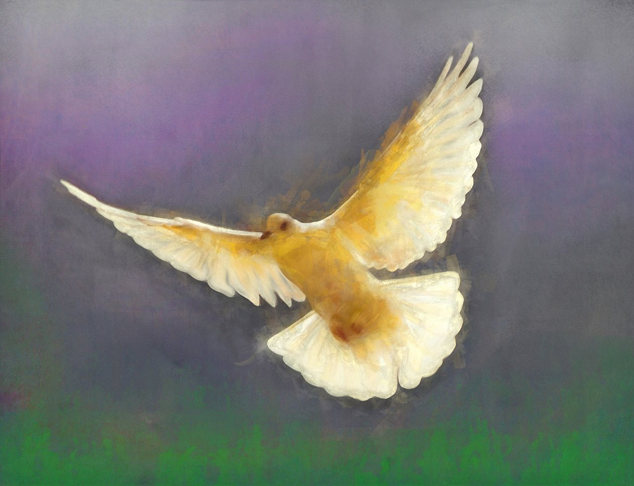 Barış Getiren, 2019 by Helen White