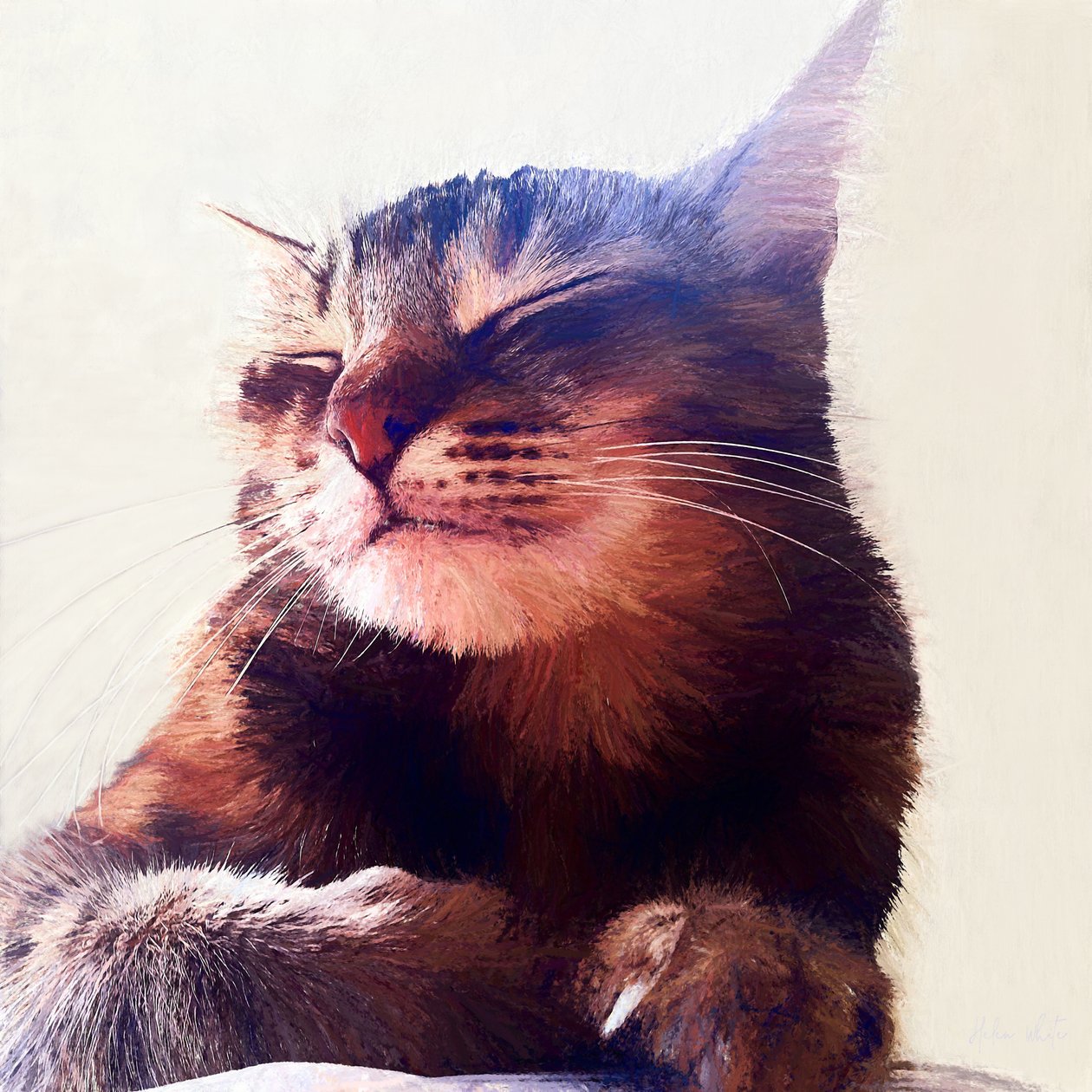 Krema Alan Kedi, 2018 by Helen White
