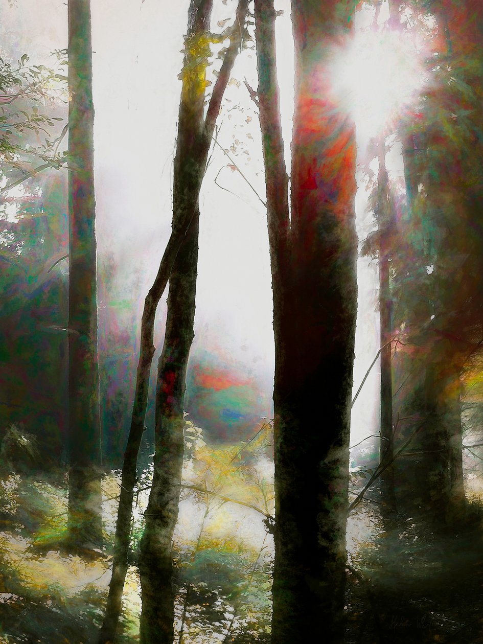 İnanmaya Cesaret Et, 2018 by Helen White