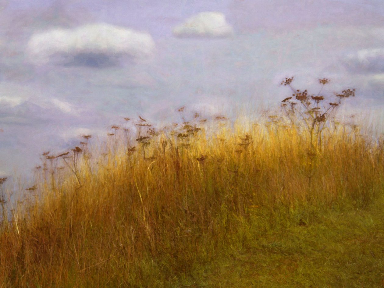 sürüklenme, 2019 by Helen White