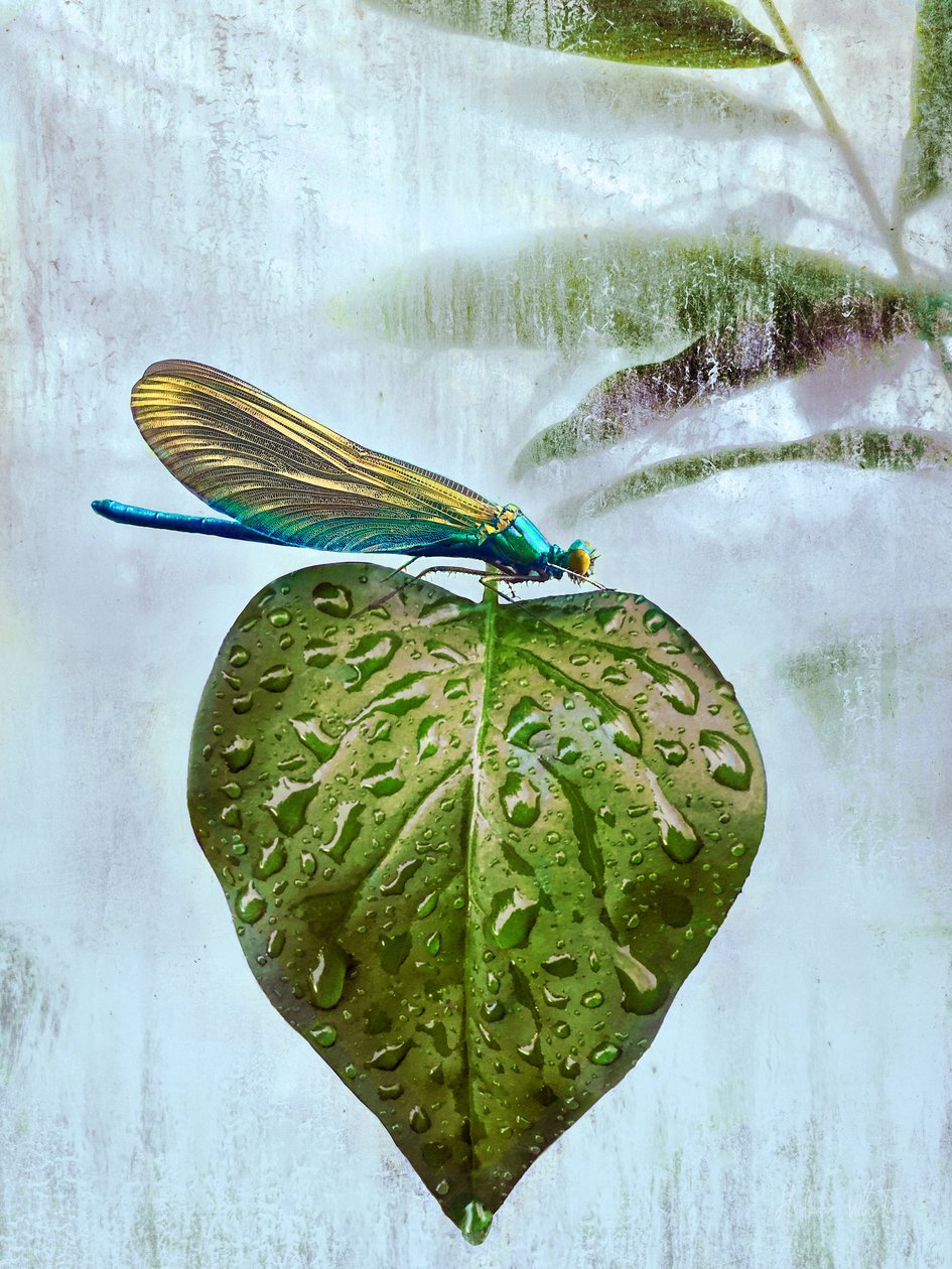 Uçan ziyaret, 2019 by Helen White