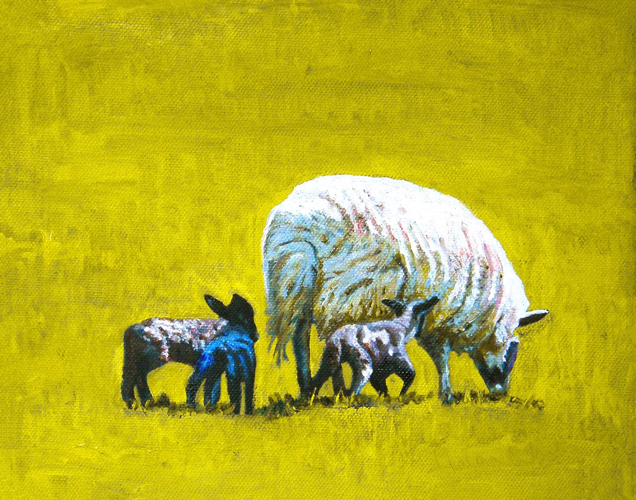  by Helen White
