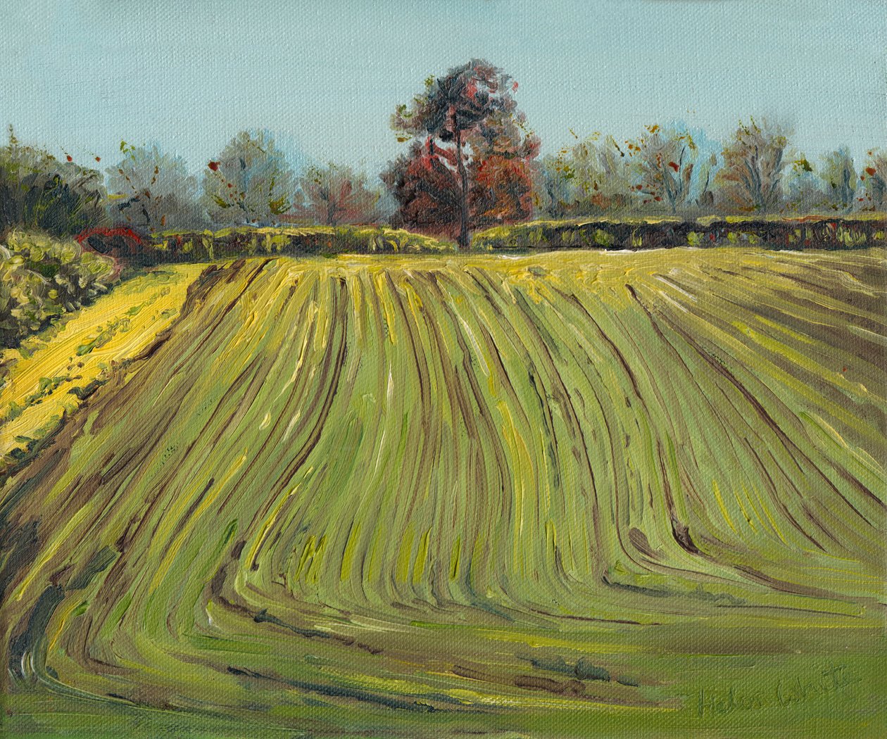 Oluklar, 2008 by Helen White