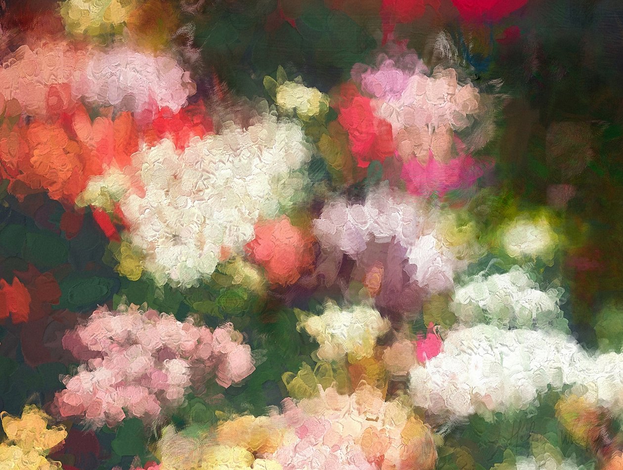 Gönül Bahçesi, 2018 by Helen White