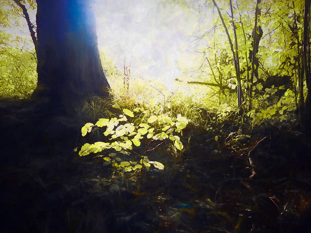 Kutsal Yer, 2018 by Helen White