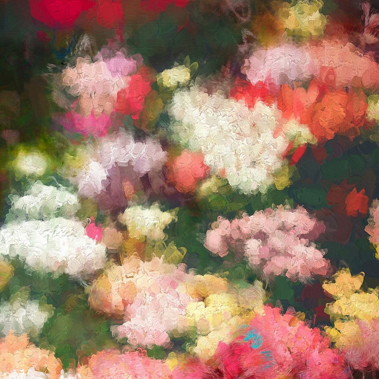 Gönül Bahçesi, 2018 by Helen White