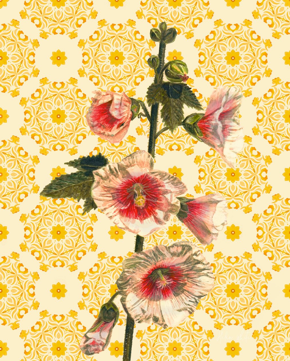 Hollyhocks on Sunshine, 2021 (suluboya) by Helen White