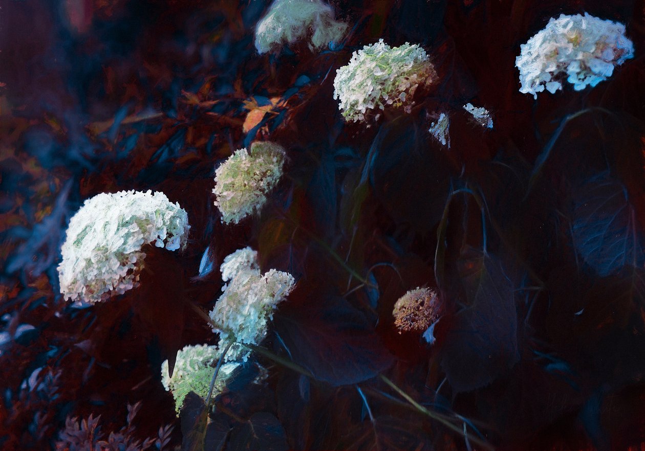 Soluk Ay Işığında, 2019 by Helen White