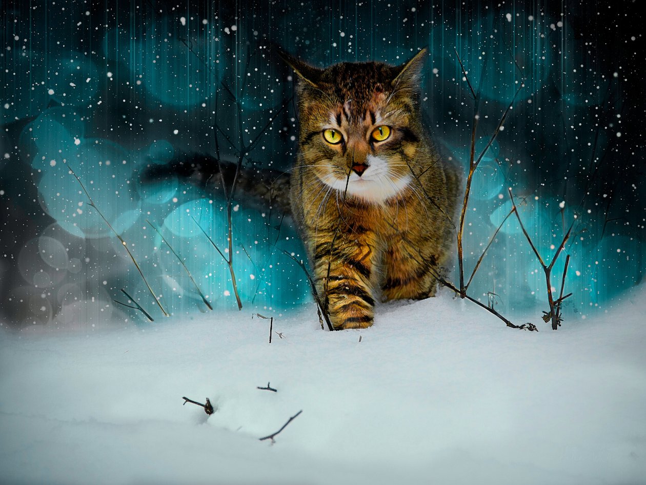Parkur Yapımı, 2019 (kompozit boyama) by Helen White